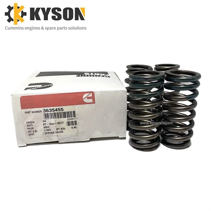 Valve Spring (2)
