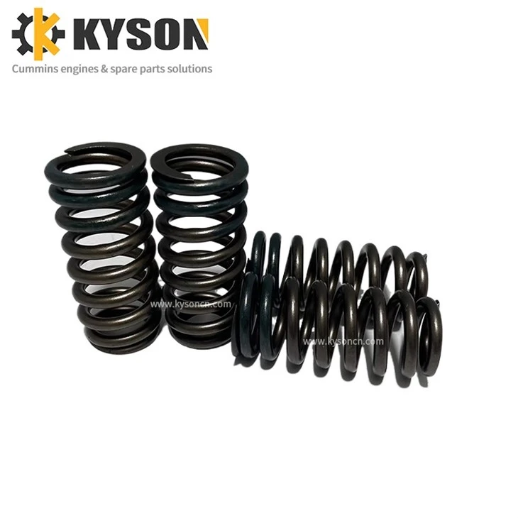 Valve Spring (4)